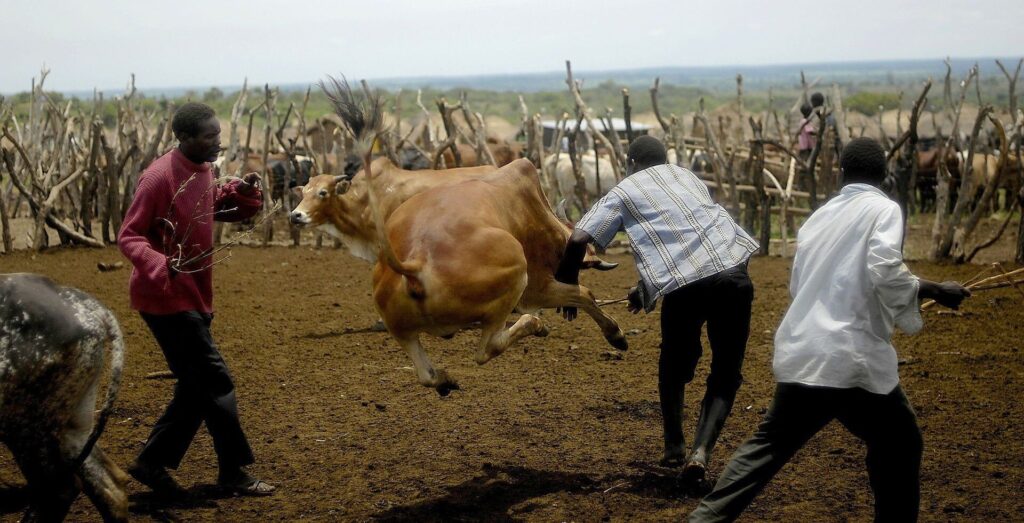 Book Your Trip to Uganda | Fares and Vacations